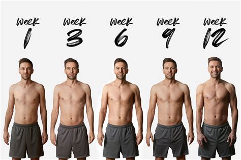 12 week body transformation workout.